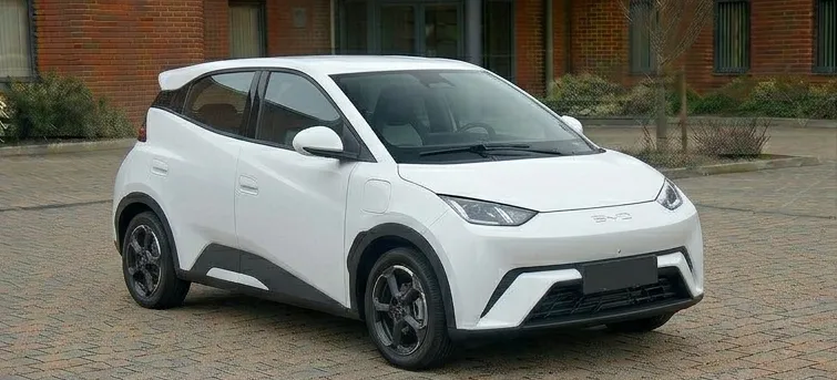 Dolphin Mini